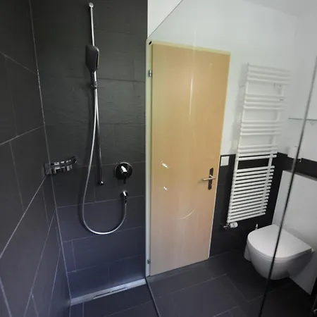 Appartement Haus Kandahar Saas Fee